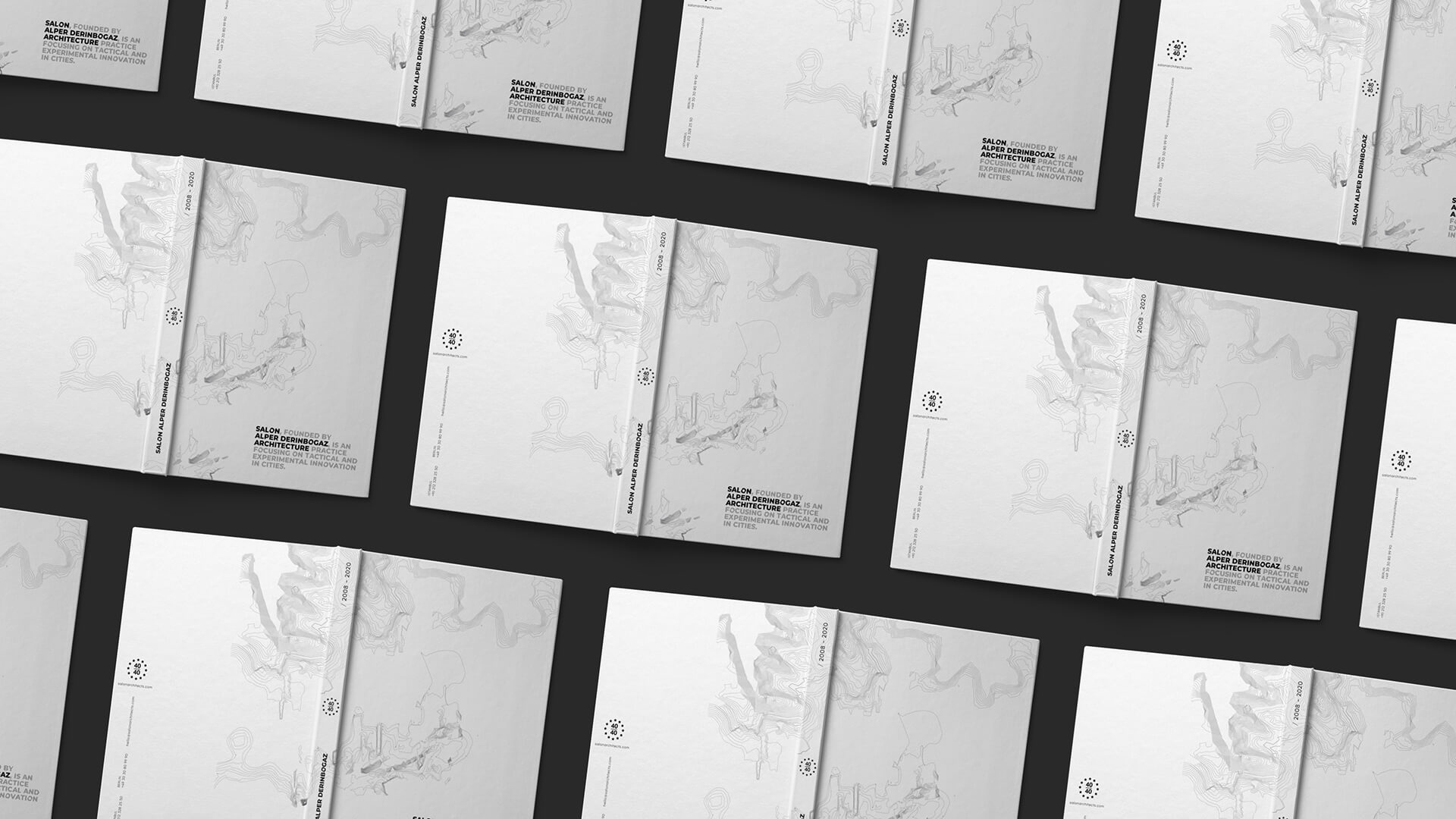 Salon_Architects / Salon Mimarlık Alper Derinboğaz